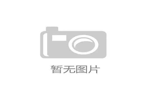 富勒姆的罗宾逊和门兴的斯卡利将构成美国队攻守转换的重要边路棋子。